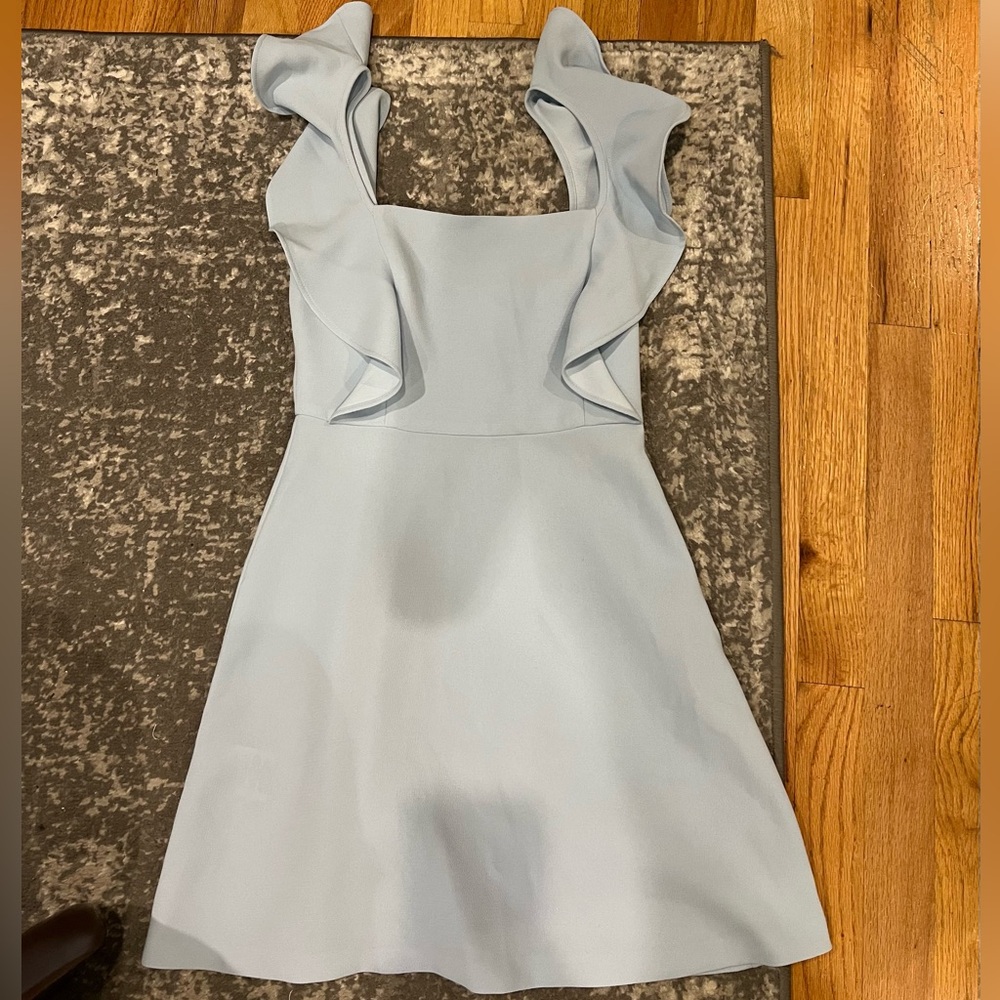 BCBG dress